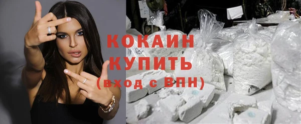 индика Алексеевка