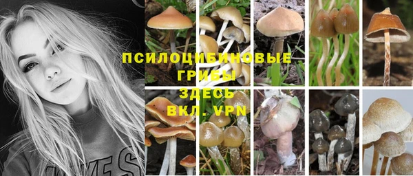 индика Алексеевка