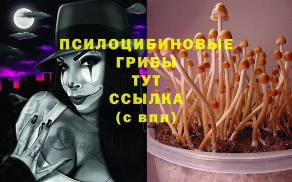 индика Алексеевка