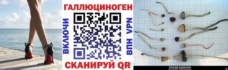 Псилоцибиновые грибы мицелий Чайковский